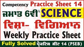 6th Class Science Weekly Practice Sheet 14 Competency Based Test Class 6 Science PSEB @smartinderjot