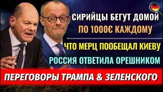 По 1000€ КАЖДОМУ, Cирийцы БЕГУТ ДОМОЙ, Вайдель в канцлеры, Россия ответила ОРЕШНИКОМ