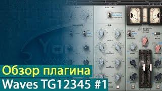 Подробный обзор плагина Waves TG12345. Часть 1. Теория [Yorshoff Mix]