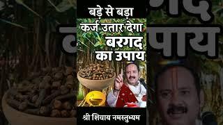 बड़े से बड़ा कर्ज उतर देगा  || Pradeep Mishra Upay