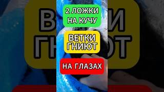 КОМПОСТ ОБРАЗУЕТСЯ НА ГЛАЗАХ рассказал в этом видео как #огород #дача #сад #компост #огородничество