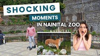 Nainital Zoo top of Nainital / Very interesting Animals hai yaha par. #nainital #travelvlog