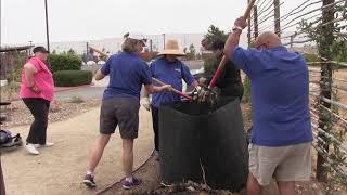 Video Class: How To Compost