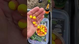 Wafter Boilies - Braucht man die? Karpfen Tipps und Tricks #karpfenangeln