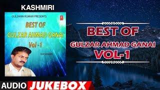 Best Of Gulzar Ahmad Ganai-Vol-1  : Gulzar Ahmad Ganai (Audio Jukebox) | Latest Kashmiri Song 2019