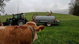 Season Ending on a Small Dairy Farm