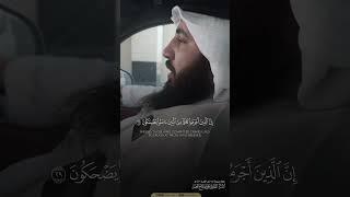 إن الأبرار لفي نعيم