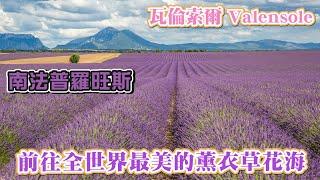 前往全世界最美的薰衣草花海 - 瓦倫索爾 Valensole I 南法普羅旺斯 I D6及D8薰衣草花田位置大公開