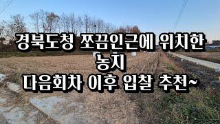 경북도청에서 쪼끔 인근에 위치한 농지경매 이번회차보단 다음회차! 경북도청농지경매