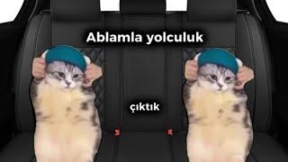 Ablamla araba yolculuğu Kedi olsaydık böyle olurdu#funnyvideo #cat