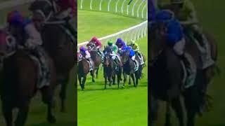 Horse racing #short #1M TAB Magic Millions #ridden by jockey Ryan Maloney