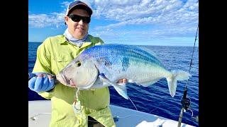 How I use my Simrad Sounder to find fish | Queen Snapper, Dhufish & Breaksea in perfect weather!