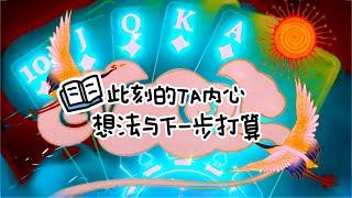 【绿野仙占】塔罗占卜🪄此刻的TA内心想法与下一步打算ʚ️ɞ ༄