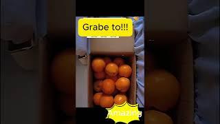 Amazing Video