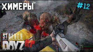 ТИХАЯ ДЕРЕВНЯ И ХИМЕРЫ. DAYZ STALKER RP 12 серия