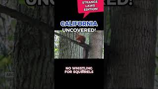 Explore California! - No Singing in Bathrobes | No Whistling for Squirrels