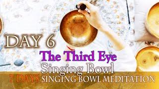 【DAY6/ The Third Eye】7 Chakras into the singing bowl for meditation/Mindfulness 【連播7日頌缽淨化眉心輪】