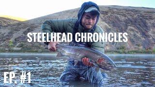 Steelhead Chronicles | Fly Fishing For Summer Run Steelhead | Episode #1