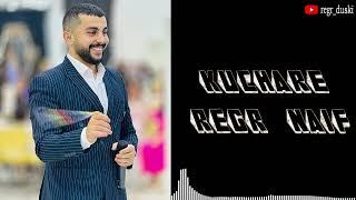 رێگر نايف ( کوچەری ) Regr Naif kuchare