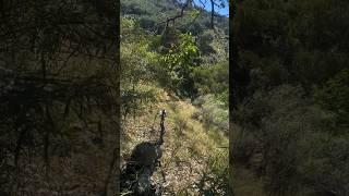 Общественная земля Бак с луком – Тяжелый труд окупается» #охота #archery #bowhunting #hunting