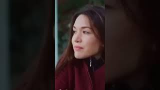 Erkan meric vs hazal subashi romantic scenes by zk creation 