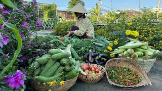 Harvest chili peppers, tomatoes, squash, basil, chives, perilla, kale, broccoli, okra #gardening