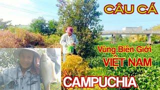 Câu Cá Rô Đồng Con Kênh Lâu Năm Nước Sâu / Chạm Trán Những Con Cá Rô Đồng Và Thác Lác Chất Lượng