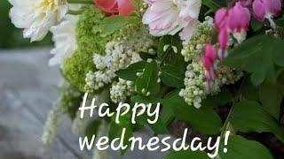 Wednesday good morning photo  !! Best good morning flowers images