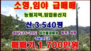 물번,224번) 소형임야.3.540평 낮은 경사도 15~20도 몽땅,1.700만원에 급 매매합니다 임산물채취,소일거리로 임산물재배 하기에 참으로 좋은 산 입니다서향을 바라보는 방향