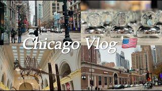 Chicago Vlog | 화려한 평화로움, 만족도 500%, 보트 투어, 딥디쉬, 땡스기빙 퍼레이드