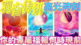 #塔羅占卜【觀音傳訊】高光時刻｜你的專屬福報何時現前｜愛情/事業/家庭/財富/健康/靈性指數