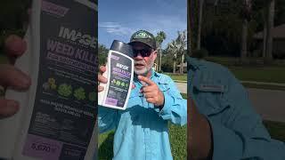 Image Nutsedge vs Southern Weed Control // Green/Yellow vs PURPLE Label