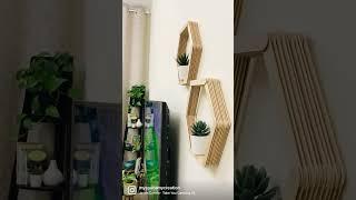 DIY popsicle sticks wall decor / plant holder /