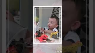 babyzane / jay and zane / play time / playing toys / playing animal / 一个人玩 / 玩动物玩具 / 学习一个人玩 / 玩具时间