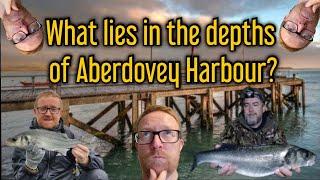 What lies in the Depths of Aberdovey Harbour?! - Wales @sifishes