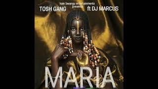 Tosh gang ft Dj Marcus _ Maria (prod by dol beatz)