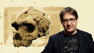 Trzy nowe gatunki człowieka? Kim byli Homo bodoensis, Homo longi i człowiek z Nesher Ramla