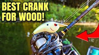 This Crank is AWESOME In Wood & Rock (Early Fall Crankbait Fishing)