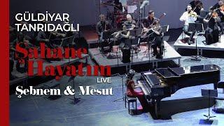 Güldiyar Tanrıdağlı - Şebnem & Mesut | Live #ŞahaneHayatım