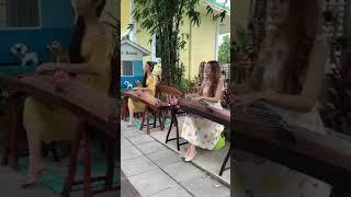 ซ่อนกลิ่น (Guzheng Cover) - นางฟ้ากู่เจิง Annie & ครูชิ Chi @บ้านอิงสวนโฮมสเตย์