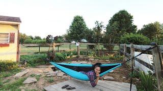 Khmer USA Family Spending Evening Relaxing In Backyard Garden | My Amazing Garden