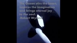 The Ocean Stirs The Heart