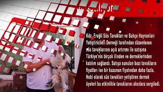 2 Dakika 24 Saat - Gündem Gazetesi