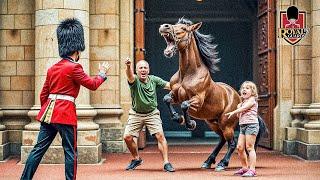 When DUMB Tourists SPOOK Royal Guards HORSES & EMERGENCY Buzzer Is Pressed..