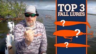 Top 3 Saltwater Lures to Use Right Now! (Oct 2024)