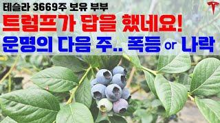 (인트로 : 한국 5월 테슬라 판매량), 불확실성 해소가 제대로만 된다면...할말은 해야겠습니다!
