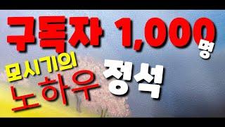 구독자 빨리 천명 모시기의 노하우.정석(88회) 왕초보 할머니 유튜버 구독자 1,000명이 되기까지의 소회