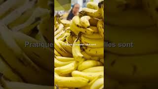 banane, la banane est le fruit énergisant à emporter #Bananes, #SantéNaturelle