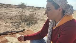 Sara Foods video - Healthy breakfast next to the nomads under the beautiful desert sky