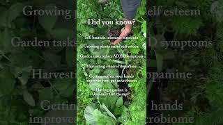 Did you know gardening is about SOOO much more than just fresh food️#garden #health #mentalhealth
